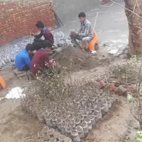 Green Seekers Activity